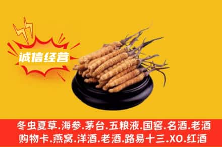 当涂县回收冬虫夏草
